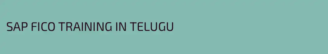 SAP FICO TRAINING IN TELUGU